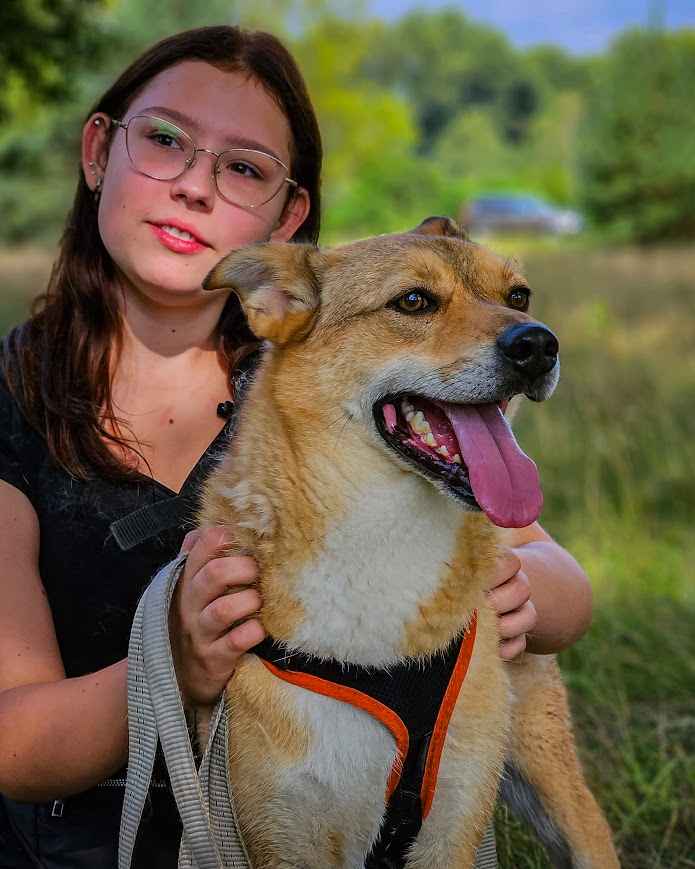 CYNAMON - oddany z adopcji jak niepotrzebna zabawka, POMOCY! Widzew - zdjęcie 3