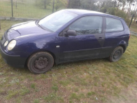 Volkswagen Polo Ostrołęka - zdjęcie 2