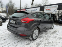 Ford Focus Klimatyzacja, PL salon, Pierwzy właściciel, 2 kpl. kół Cieszyn - zdjęcie 11