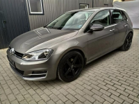 Volkswagen Golf 1.4 TSI  DSG   Hak  Alcantara Webasto Zarejestrowany Strzała - zdjęcie 4
