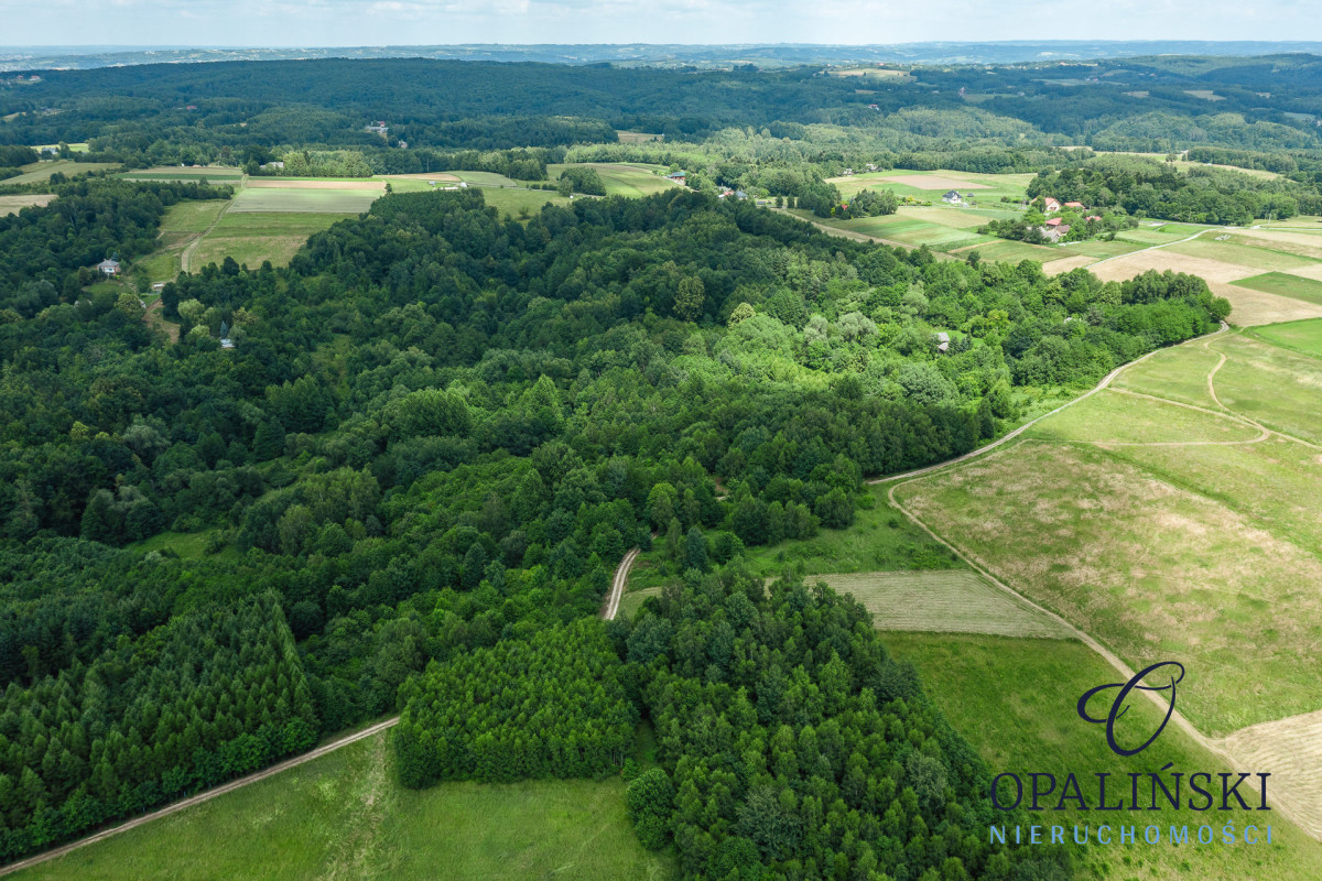 20 km od Rzeszowa | 2, 61 ha |  Cicha okolica Straszydle - zdjęcie 10