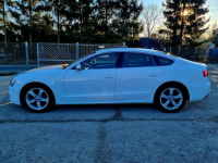 Audi A5 S-Line Lift Led Serwis Bixenon Navi ACC Parktronic Gwarancja! Szczecin - zdjęcie 8