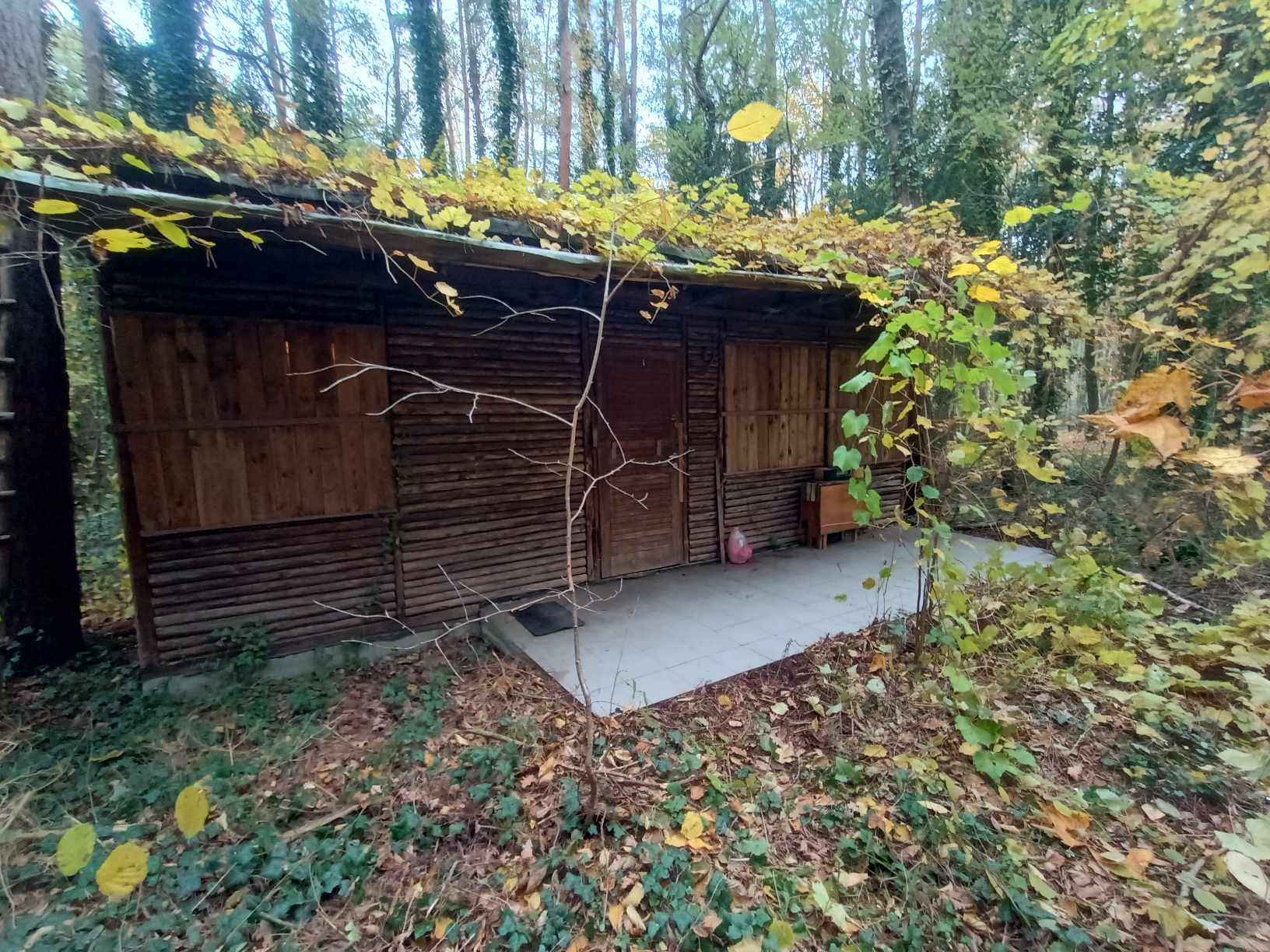 Działka nad Zalewem Zegrzyńskim Wieliszew - zdjęcie 3