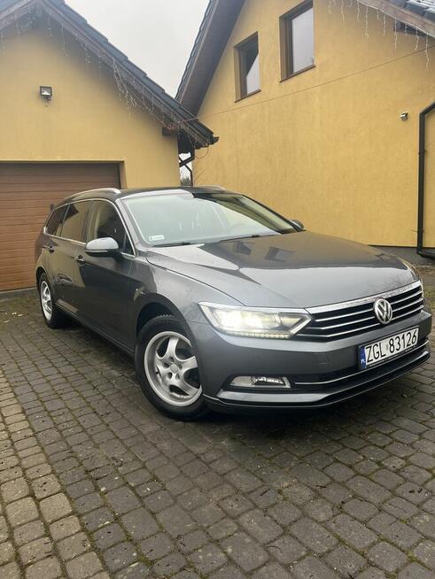 Volkswagen VW Passat B8 Kombi 1,6 TDI 120KM Diesel Oszczędn Racimierz - zdjęcie 2