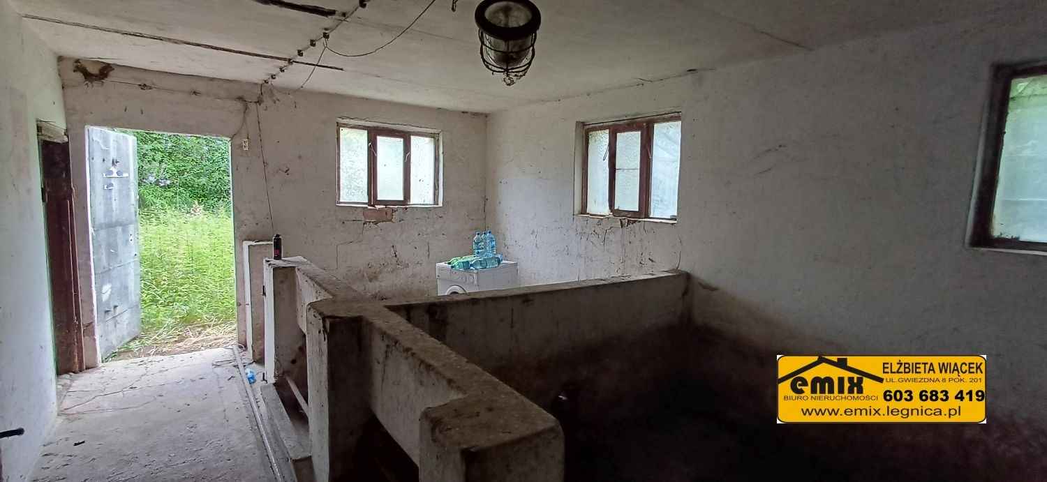 Działka z domem i możliwością jego rozbudowy - 5 km od Chojnowa Chojnów - zdjęcie 4