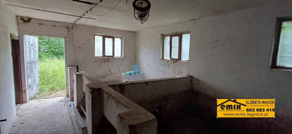 Działka z domem i możliwością jego rozbudowy - 5 km od Chojnowa Chojnów - zdjęcie 4