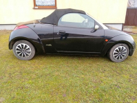 Ford Streetka 1.6.Cobrio Książenice - zdjęcie 12