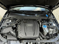Audi A4 LIFT Navi Climatronic Gwarancja Kutno - zdjęcie 11