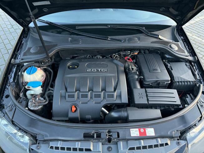 Audi A3 8P Włocławek - zdjęcie 8