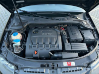 Audi A3 8P Włocławek - zdjęcie 8