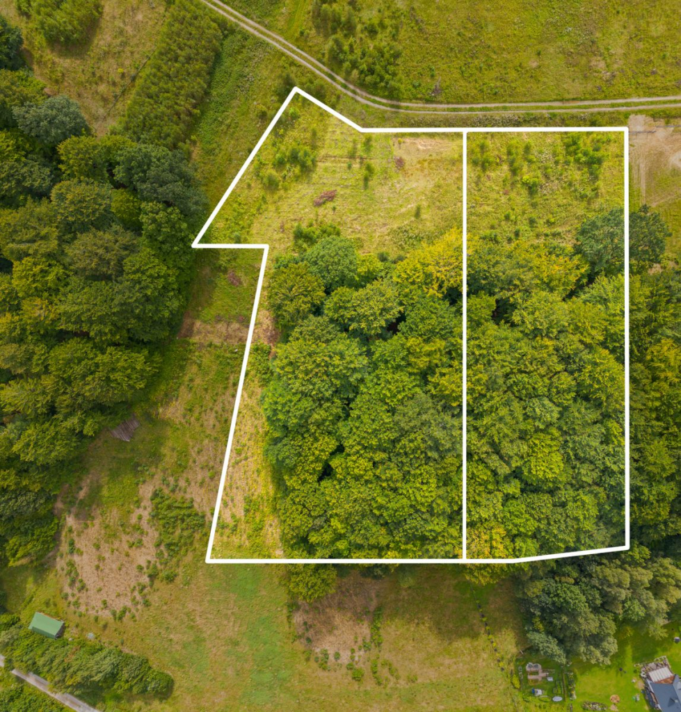 Malownicza okolica i prywatny las. Blisko jezioro Trzepowo - zdjęcie 4