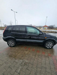 Ford Fusion Klimatyzacja - 2007r - 1.4 tdci Głogów - zdjęcie 11