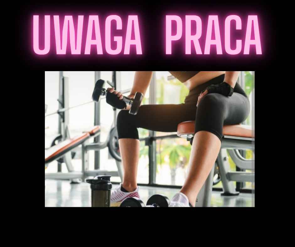 Dam Pracę Gorzów Wielkopolski - zdjęcie 1