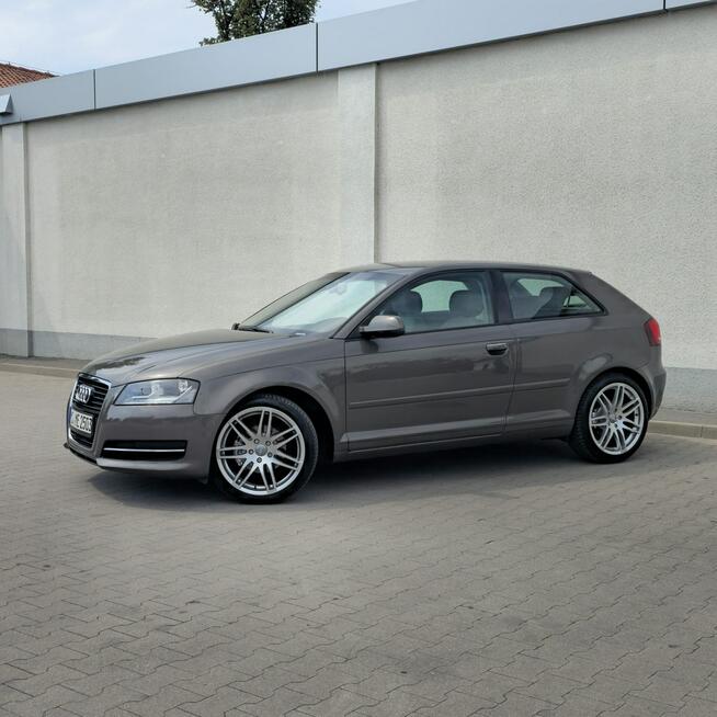 Audi A3 3-drzwiowe 1.6 TDI S line Sportpaket 105KM Manual Ostrów Mazowiecka - zdjęcie 5