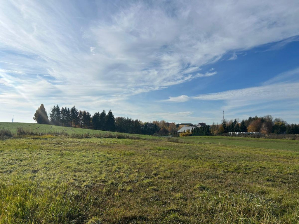 Działka w zielonej części miasta – idealna pod dom Poznań - zdjęcie 9