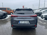Lexus UX 250H Salon PL Hybryda Automat Kamera Podgrzewanie 184KM Gliwice - zdjęcie 3