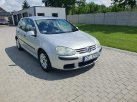 Volkswagen Golf 1.9tdi 105KM 5 Drzwi Klima Raty Zamiana Strobice - zdjęcie 7
