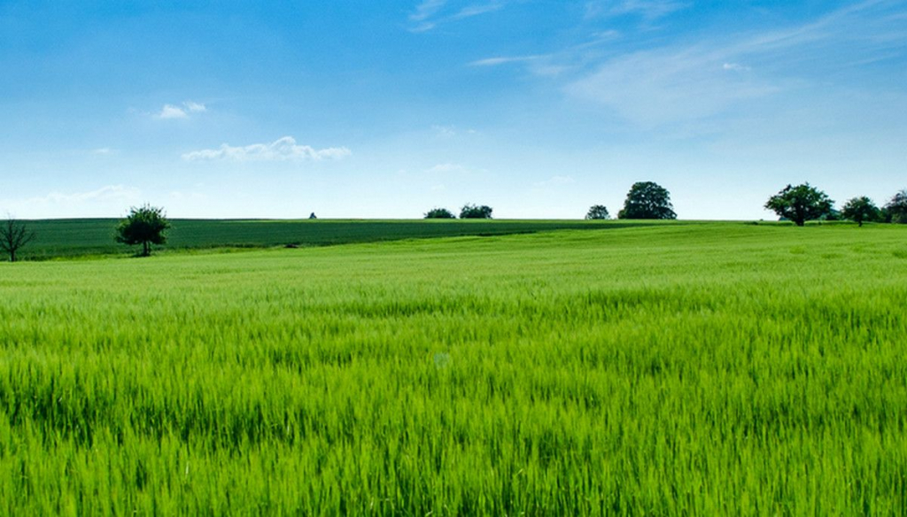 Atrakcyjna działka 3420m2 Dobrzyniewo Kościelne Dobrzyniewo Kościelne - zdjęcie 3