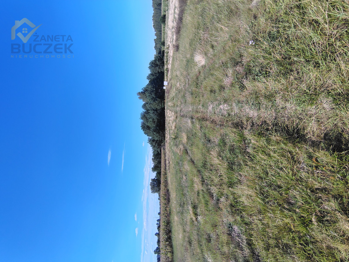Atrakcyjna działka 1450 m² z MPZP | Dachowa | Dachowa - zdjęcie 7