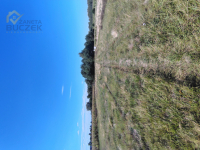 Atrakcyjna działka 1450 m² z MPZP | Dachowa | Dachowa - zdjęcie 7