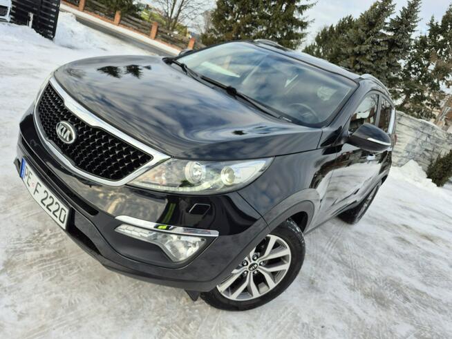 Kia Sportage kamera xenon navigacja skóra Import Francja bez korozji Drelów - zdjęcie 10