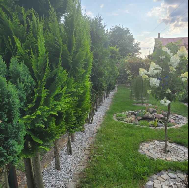 DZIAŁKA REKREACYJNA Fabryczna - zdjęcie 6