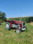 Sprzedam MASSEY FERGUSON 255 Danowo - zdjęcie 1