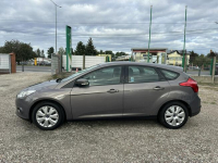 Ford Focus 1.6 TDCI 95KM/Salon PL/Zamiana/Kredyt/Pakiet VIP Gwarant Warszawa - zdjęcie 5