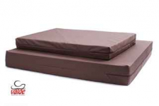 Zdrowe stawy Twojego psa