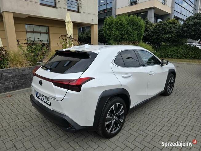 Lexus UX 250H Omotenashi /Mark Levinson Lublin - zdjęcie 5