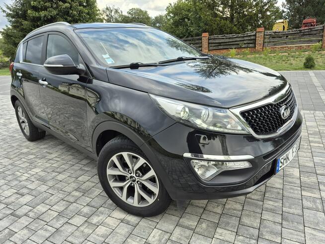 Kia Sportage kamera xenon navigacja skóra Import Francja bez korozji Drelów - zdjęcie 2
