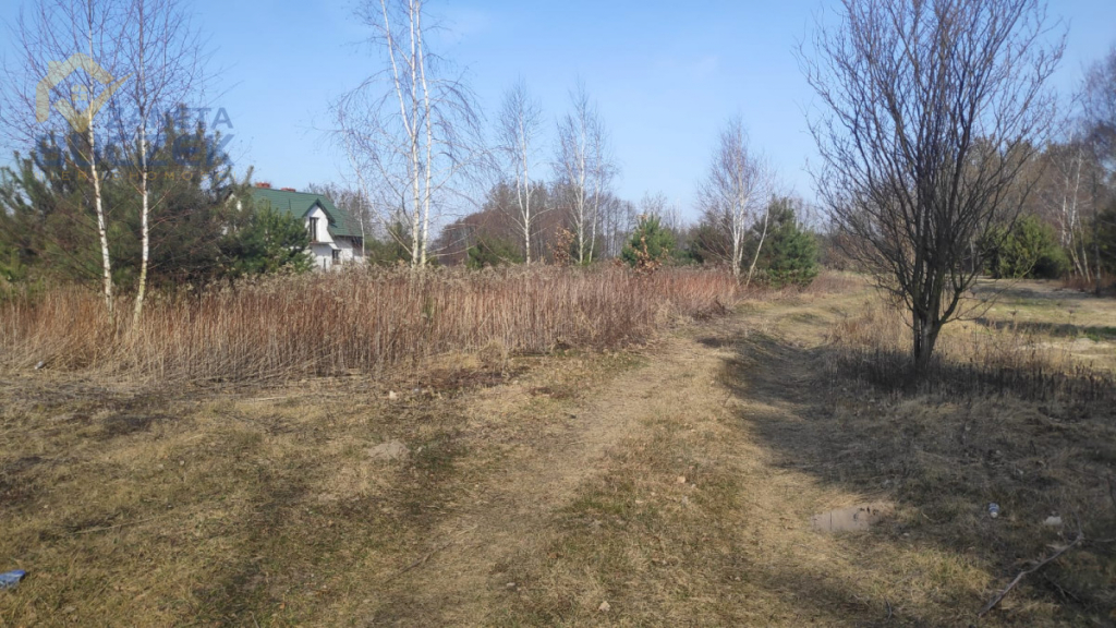 Sprzedam działki budowlano-usługowe w Lubiejewie Lubiejew - zdjęcie 2