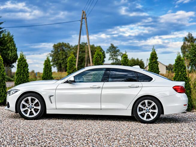BMW 420 Sadlno - zdjęcie 5