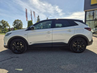 Opel Grandland X Design Line 1.6 Turbo PHEV 225 KM AT8 FWD Giżycko - zdjęcie 8