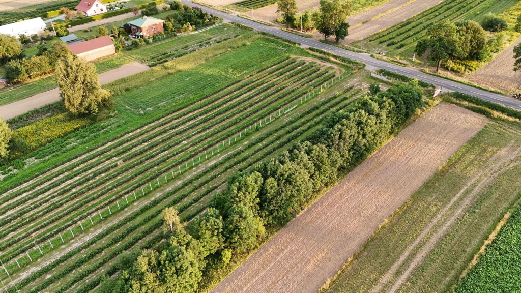 Tarnawa Duża – ponad 60 arów przy asfalcie, z warunkami na prąd i wodę Turobin - zdjęcie 2