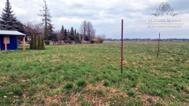 Działka siedliskowa 3000m2 z MPZP gm. Kąty Wrocławskie, Sokolniki Sokolniki - zdjęcie 4