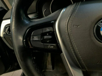 BMW 520 Sadlno - zdjęcie 10