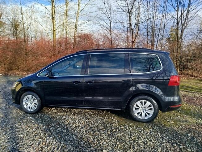 Sprzedam Sharana Zamarski - zdjęcie 3