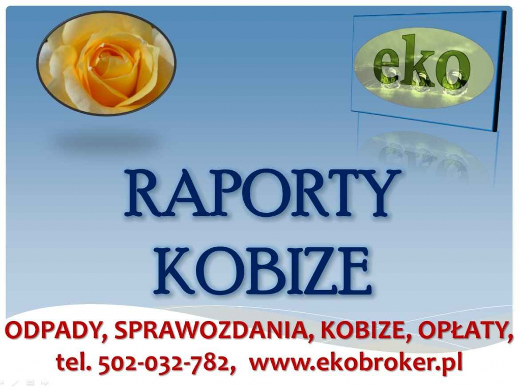 Wykonanie raportu do Kobize, tel. 502-032-782. Raport do kobize, cena Psie Pole - zdjęcie 10