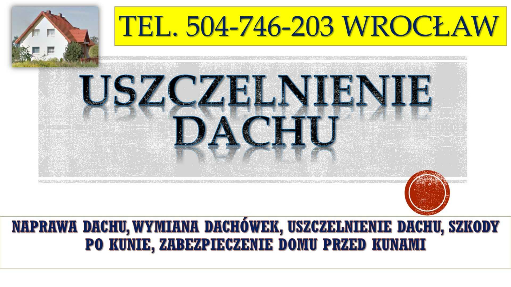 Naprawa dachu, tel.504-746-203. Remont i uszczelnienie dachu po kunie. Psie Pole - zdjęcie 2