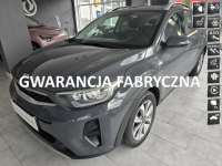 Krajowy, Pierwszy właściciel, Automat, Gwarancja KIA