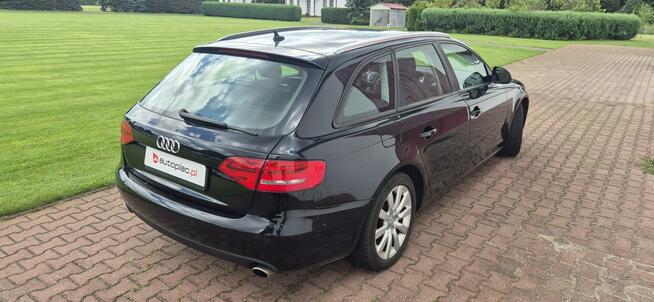 Audi A4 TDI-AVANT-AUTOMAT-LED Paproć - zdjęcie 7