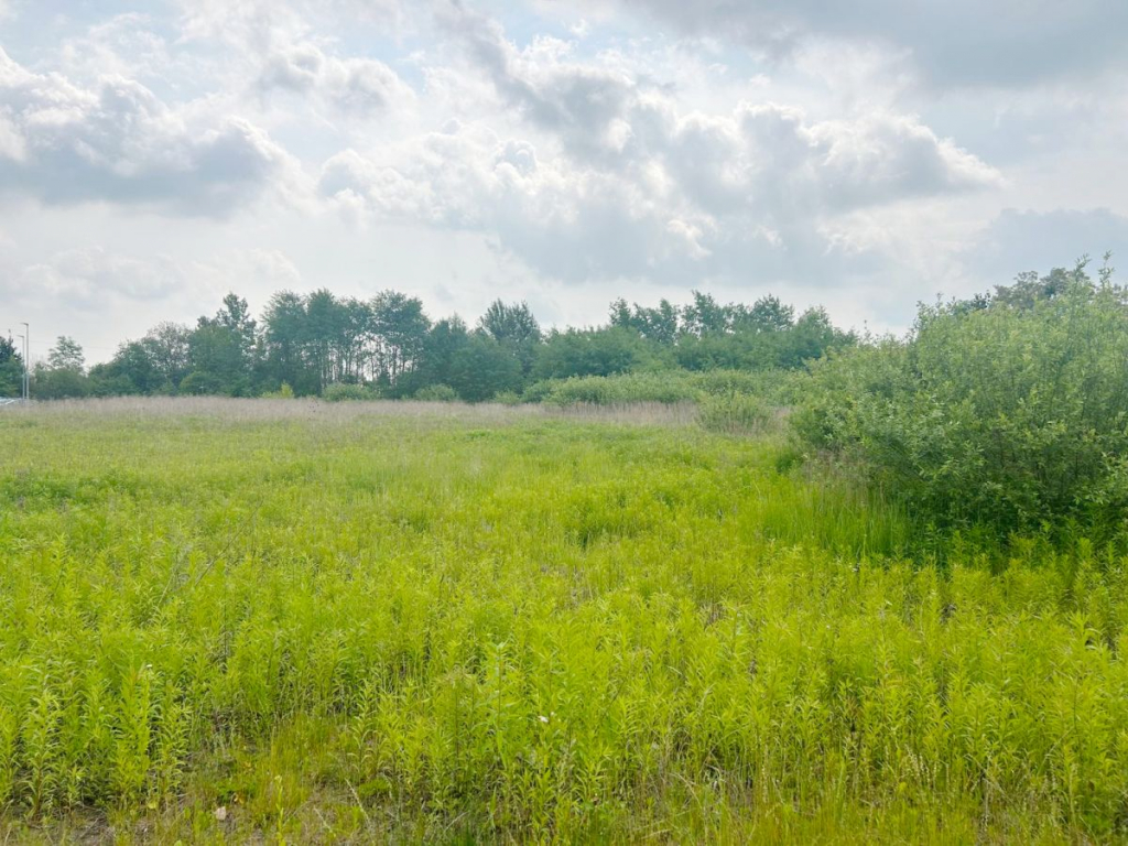 Działka pod Halę, mpzp – świetna lokalizacja! Poznań - zdjęcie 5