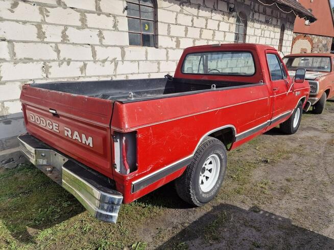 Dodge Ram D100 Rocznik 1987 Silnik 318 V8 Klasyczny Pickup Sulechów - zdjęcie 5