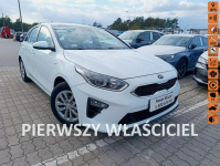 Kia Cee'd Salon Polska bezwypadkowy
