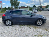 Kia Nowy Ceed BOGATA OPCJA, Kanie - zdjęcie 4