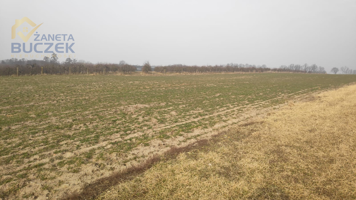 Sprzedam działki rolne z WZ w Strzyżewie Strzyżew - zdjęcie 4