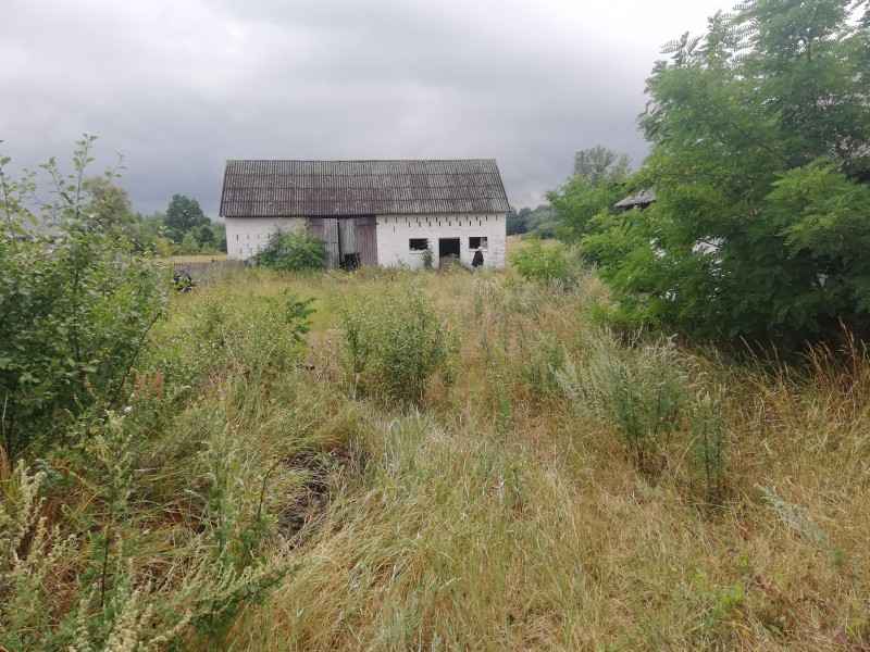 Prawie za darmo Osiny - zdjęcie 2