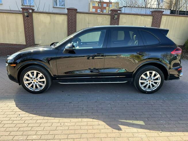 CAYENNE PLATINUM EDITION Kobylnica - zdjęcie 3