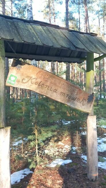 Sprzedam Ząbki - zdjęcie 7